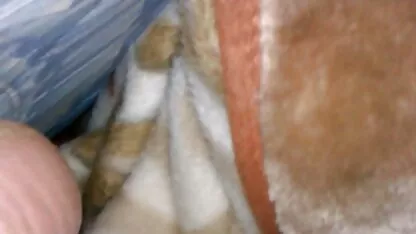 បងប្អូនប្រុសស្រី xxx latina