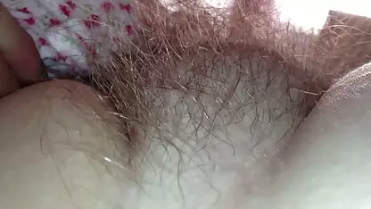 បិទគំនរទន់។ តឹងរោមមានរោម